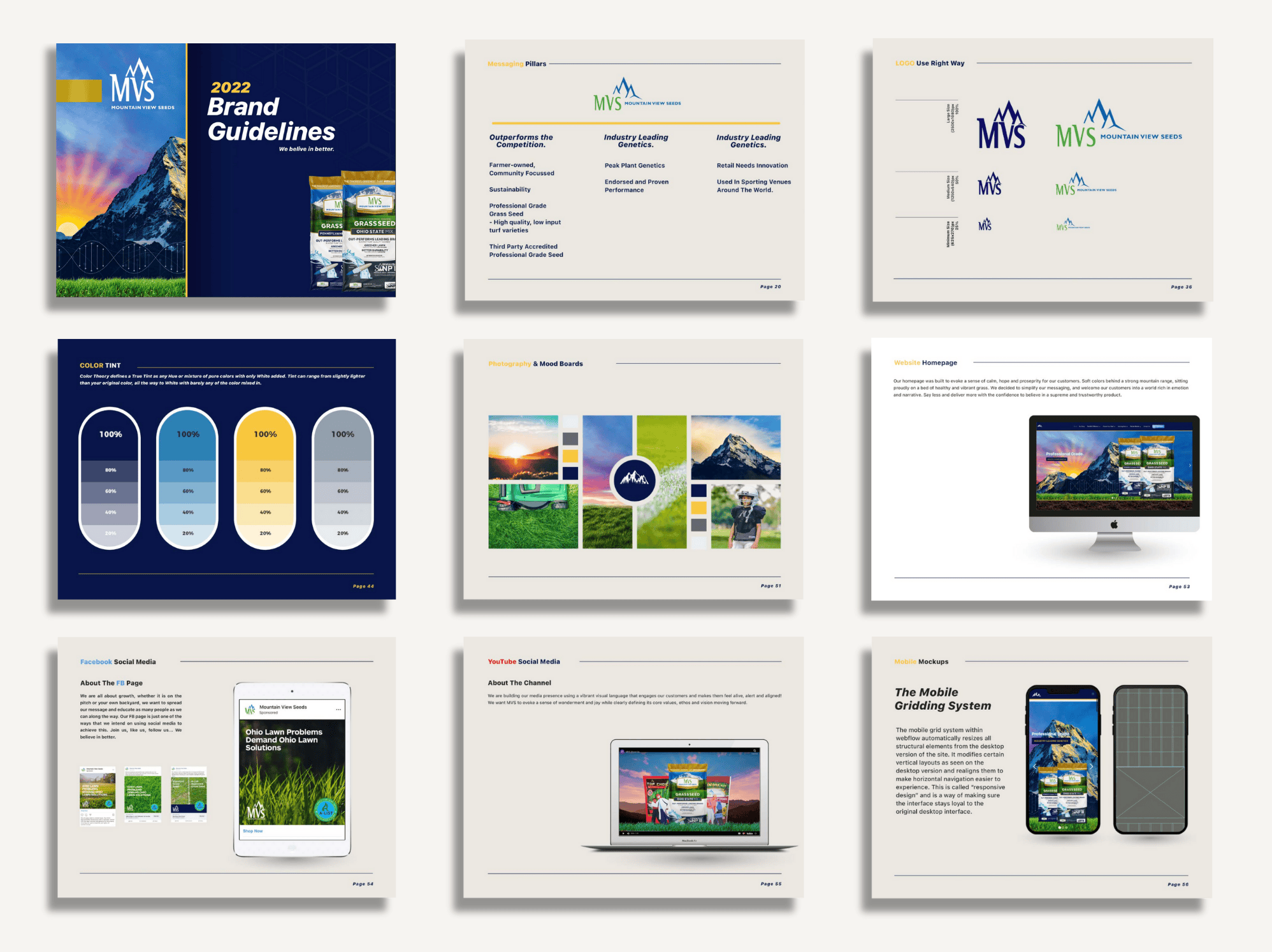 MVS Case Study Image