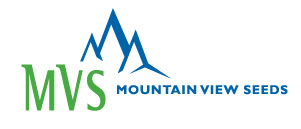 MVS-Wildflower_logo