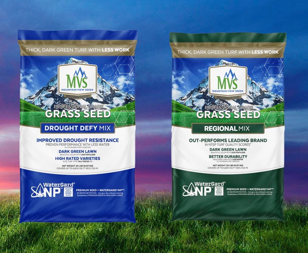 Mountain View Seeds A-List Grass Seed