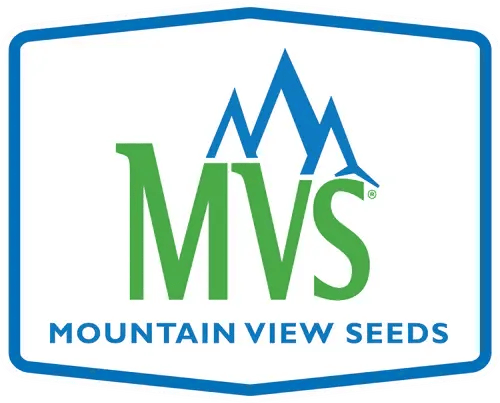 MVS-Logo-Emblem